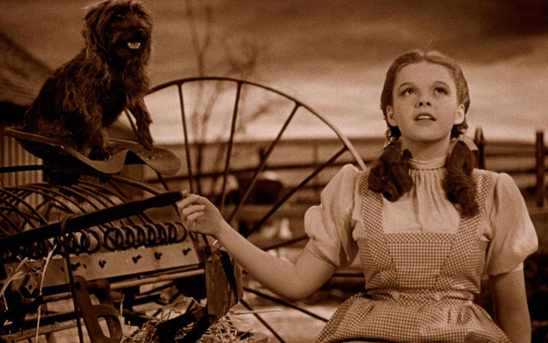 AFTER OZ: WHY DOROTHY PROBABLY CAN’T AFFORD TO BUY A HOME IN HAYS, KANSAS